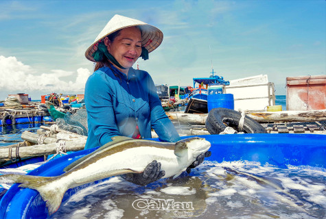 Xanh màu hy vọng trên đảo tiền tiêu