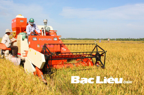 Nông nghiệp Bạc Liêu và những thành tựu vượt bậc