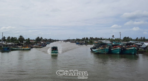 Chủ động ứng phó với áp thấp nhiệt đới trên biển Đông