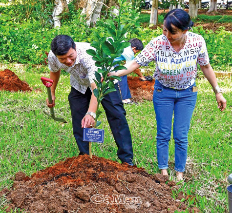 Trồng cây nhớ ơn Bác