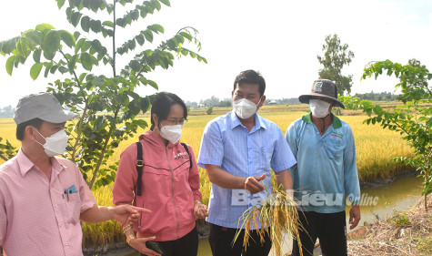 Xây dựng nền nông nghiệp sạch, an toàn và phát triển bền vững