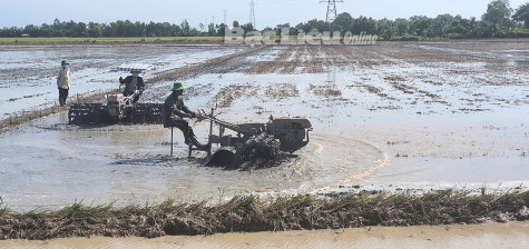 Những lưu ý khi cải tạo đất chuẩn bị vụ mùa mới