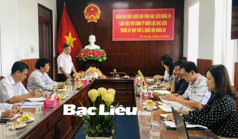 Đoàn ĐBQH tỉnh làm việc với Công ty Điện lực Bạc Liêu trước kỳ họp thứ 3, Quốc hội khóa XV