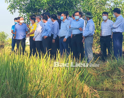 Nâng tầm tư duy “thuận thiên” để nông nghiệp phát triển bền vững