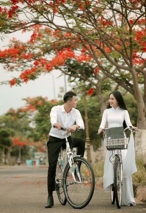 Nỗi niềm hoa phượng