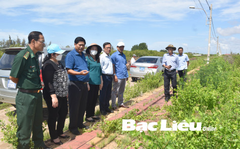 Giám sát tình hình triển khai thực hiện Khu dân cư, tái định cư rừng phòng hộ trên địa bàn tỉnh