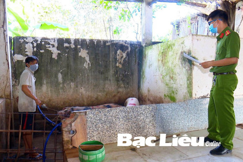 Quy định mới về xử phạt vi phạm hành chính trong lĩnh vực chăn nuôi