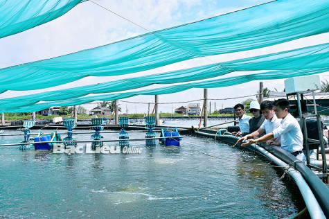 Xây dựng “tam nông” phát triển bền vững