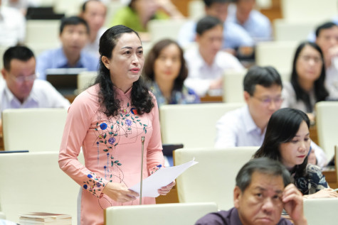 Đại biểu Quốc hội - Trần Thị Hoa Ry: Việc quản lý đất đai nhiều nơi còn sai phạm, lãng phí và hiệu quả thấp