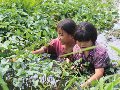 Những mùa hè cũ