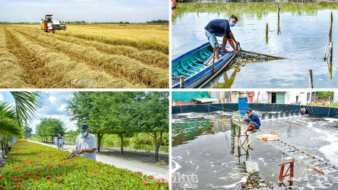 Phấn đấu “Vì một Việt Nam không còn đói nghèo”