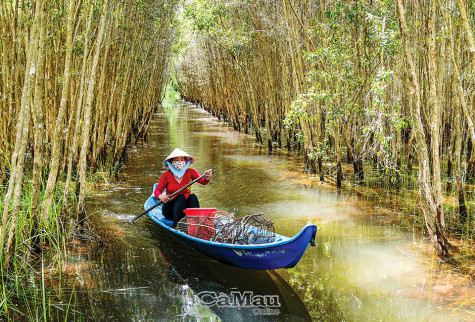 Về với thiên nhiên