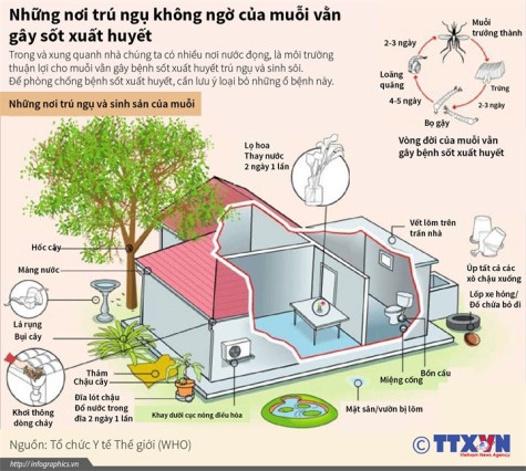 Người dân cần nâng cao ý thức phòng, chống sốt xuất huyết