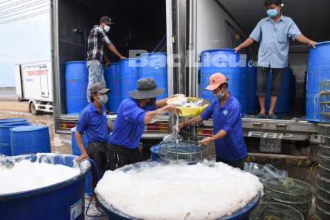 Tiếp tục thực hiện cơ cấu lại ngành Nông nghiệp
