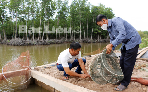 Tăng cường quản lý bảo vệ rừng, xử lý tình trạng lấn chiếm đất rừng trái pháp luật