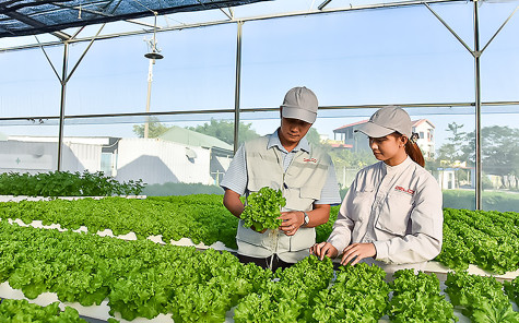 Phát triển kinh tế tuần hoàn góp phần thúc đẩy tăng trưởng xanh