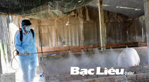 Thời tiết bất ổn, đề phòng dịch bệnh trên đàn gia súc, gia cầm