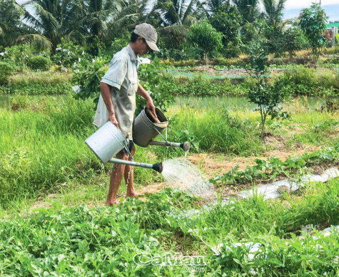 Chỉ cần cù, chịu khó là chưa đủ