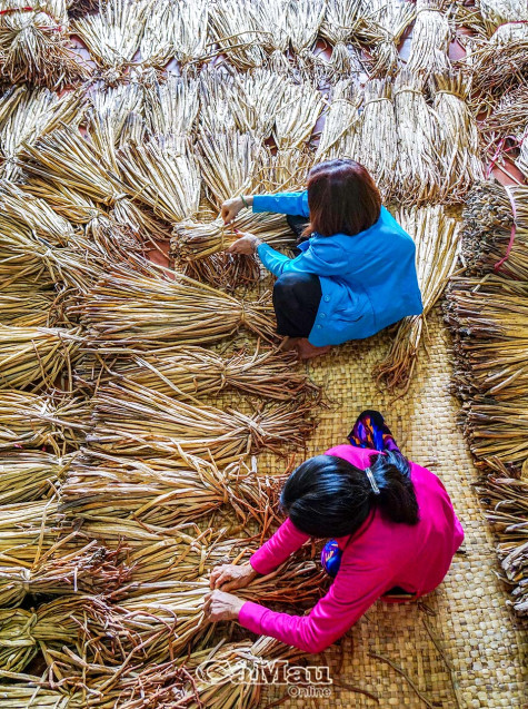 Những đôi tay khéo léo