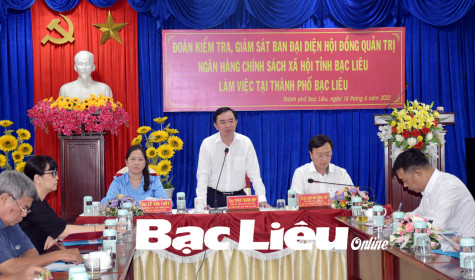Chất lượng hoạt động, chất lượng tín dụng trên địa bàn TP. Bạc Liêu đạt thấp