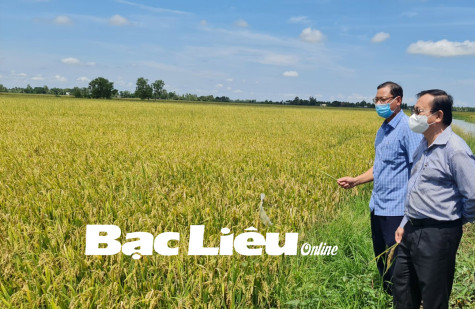Ngành Nông nghiệp: Nhiều giải pháp thúc đẩy sản xuất