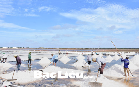 Chuyện hạt muối...