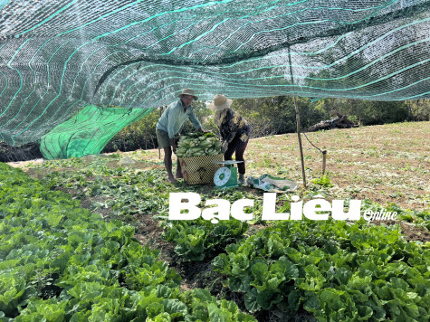 Nông dân Thạch Sà Rây: Ham học hỏi, nâng cao​ đời sống