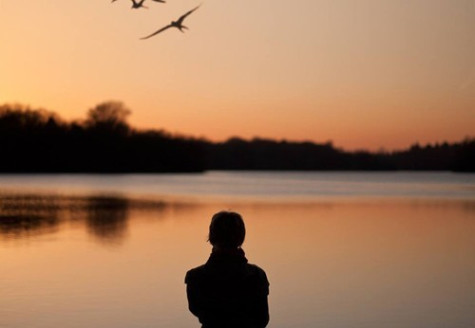 Vài cảm nhận sau khi đọc bài “Ai đem con sáo sang sông”