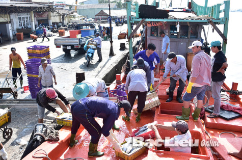Kết luận của Ban Thường vụ Tỉnh ủy: Đông Hải phải phát triển mạnh kinh tế biển theo hướng hiện đại