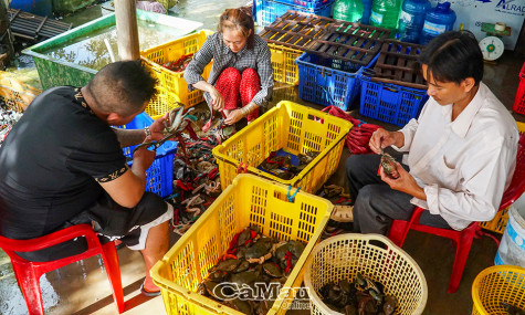 Sản phẩm mới từ cua thịt