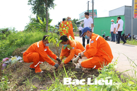 Công ty Điện lực Bạc Liêu: Những nỗ lực đáng ghi nhận
