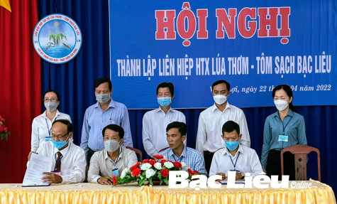 Liên kết trong sản xuất, tiêu thụ lúa: Dẹp bỏ nỗi lo “được mùa, mất giá”