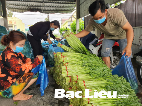 Hướng nông dân làm kinh tế nông nghiệp