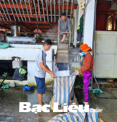 Nước đá tinh khiết liệu có tinh khiết?!