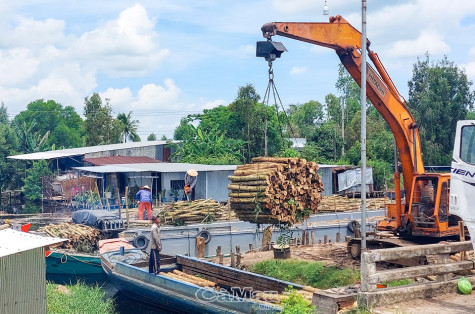 6 tháng, tổng giá trị kinh tế lâm nghiệp đạt trên 389 tỷ đồng