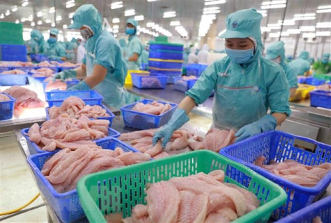 Nghị sĩ Nghị viện châu Âu đánh giá cao vị thế của Việt Nam