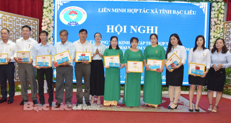 Toàn tỉnh có 203 HTX với 24.821 thành viên