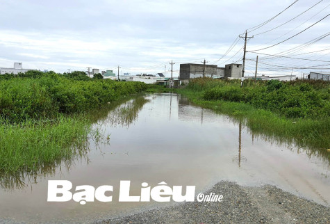 Rác, cỏ dại, ao tù ở các khu dân cư: Mầm mống phát sinh ổ dịch sốt xuất huyết