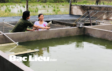 Cựu thanh niên xung phong: Vượt khó làm giàu