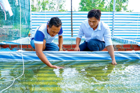 Cổ tích bên bờ sông Đầm