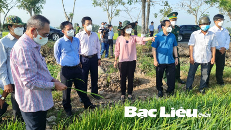 Xã Châu Thới, huyện Vĩnh Lợi: Khởi sắc nông thôn mới nâng cao