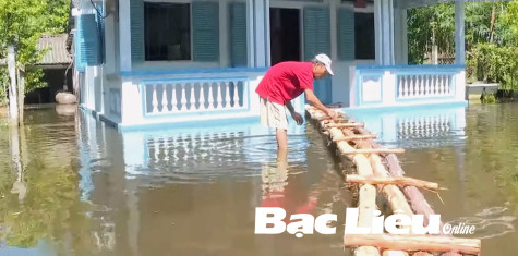Ngập úng cục bộ, ruộng vườn nhà cửa lênh láng nước