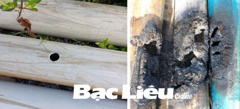 Làm rõ hành vi phá hoại đường ống bơm cát của Công ty cổ phần BEDA T&C
