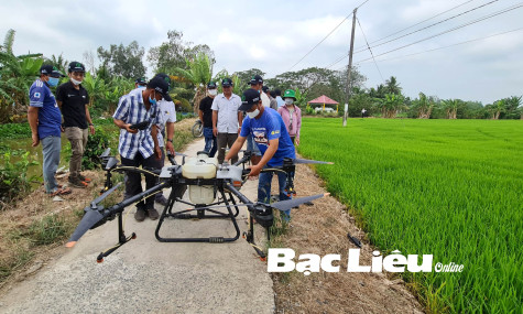 Phát triển kinh tế nông nghiệp: Hướng đến chuyên nghiệp hóa người nông dân
