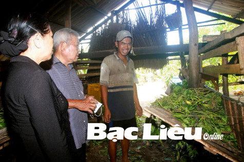 Vượt lên số phận
