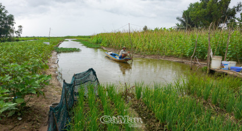 "Khoảng lặng" giữa mùa