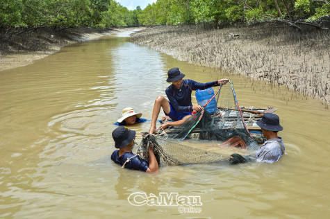 Trăn trở xóm đảo Áp Hạp