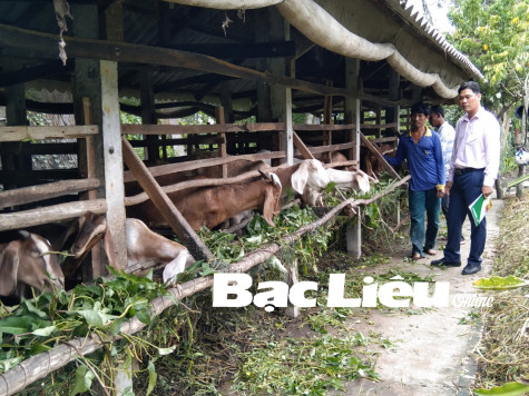 Huyện Hồng Dân: Đồng bào Khmer thi đua thoát nghèo từ chương trình tín dụng chính sách