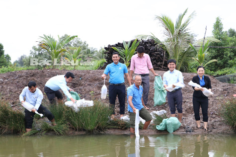 Tuổi trẻ khối các cơ quan tỉnh: Tiên phong, sáng tạo xây dựng quê hương