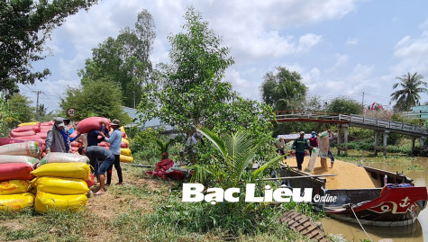 Thành lập Liên hiệp HTX: Nhiều lợi ích